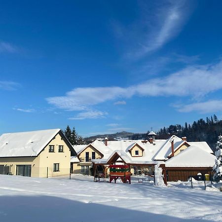 Willa I Domki Victoria Wisla Bagian luar foto