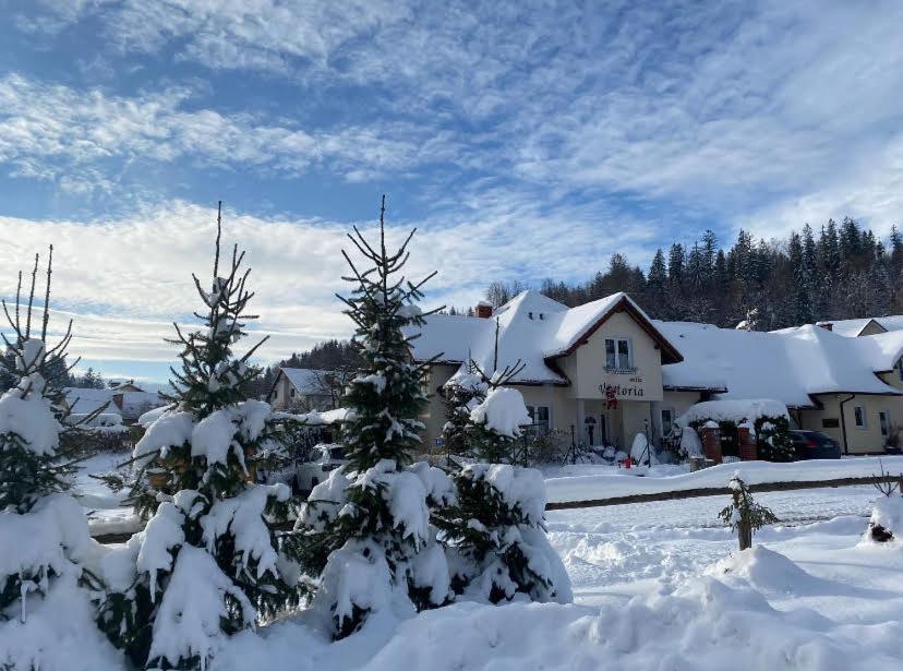 Willa I Domki Victoria Wisla Bagian luar foto