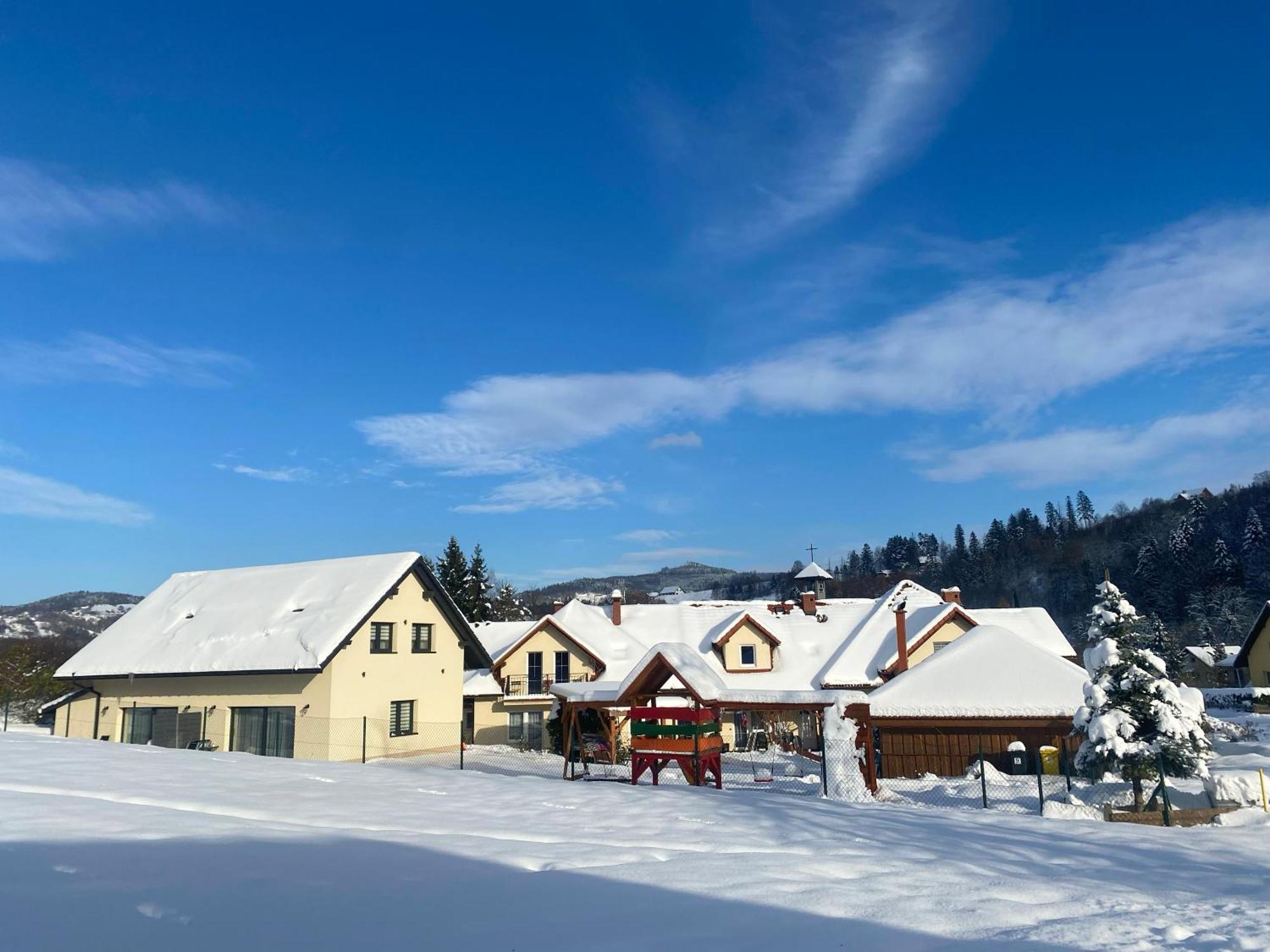 Willa I Domki Victoria Wisla Bagian luar foto