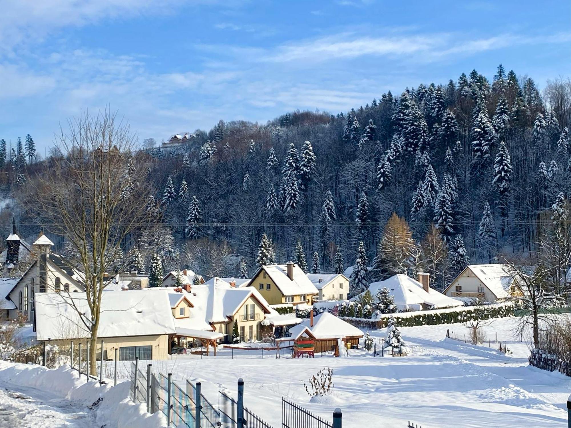 Willa I Domki Victoria Wisla Bagian luar foto