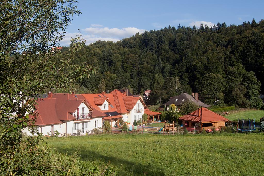 Willa I Domki Victoria Wisla Bagian luar foto