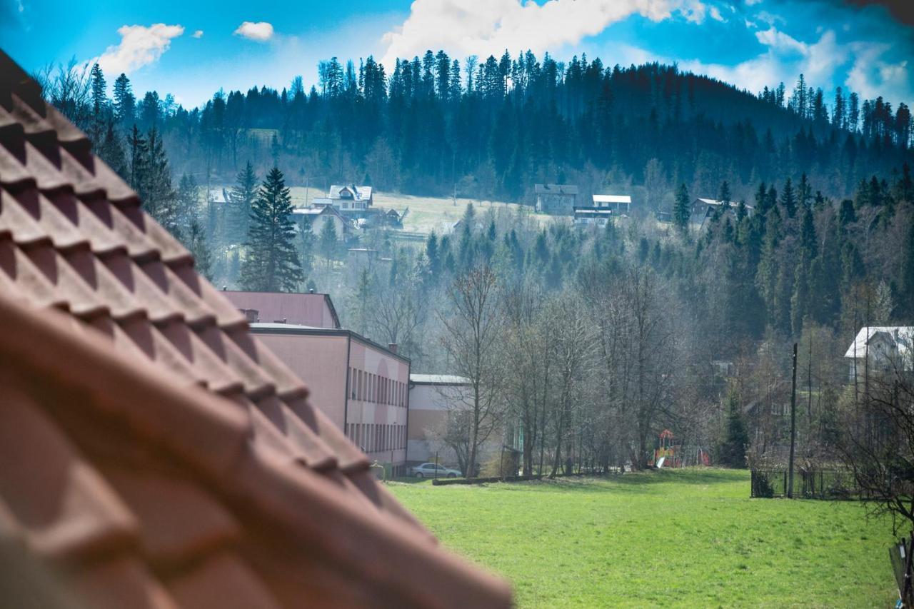 Willa I Domki Victoria Wisla Bagian luar foto